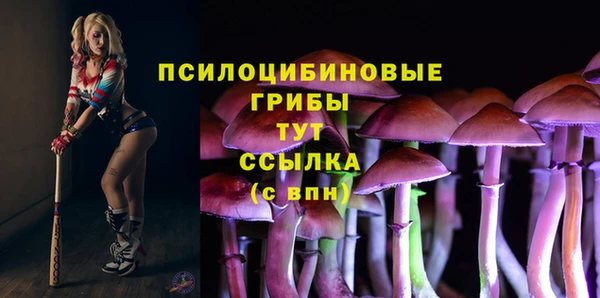 мет Армянск