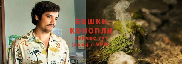 эйфоретик Арсеньев