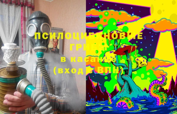 эйфоретик Арсеньев